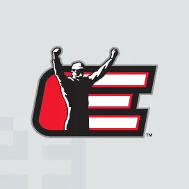 Dale earnhardt inc